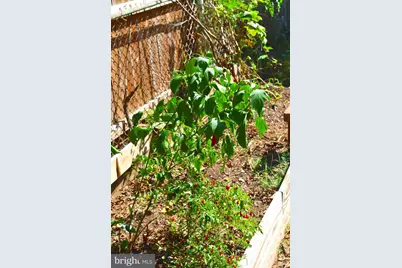 4318 Newton Street, Brentwood, MD 20722 - Photo 33