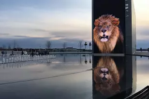 7906 Esther Dr, Oxon Hill, MD 20745 - Photo 71