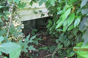 5126 Navahoe St, College Park, MD 20740 - Photo 31