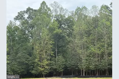 Old Indian Head Road, Brandywine, MD 20613 - Photo 5