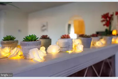 8210 15th Place, Hyattsville, MD 20783 - Photo 19