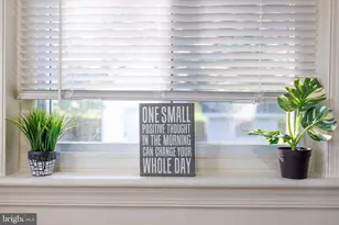 8210 15th Pl, Hyattsville, MD 20783 - Photo 21