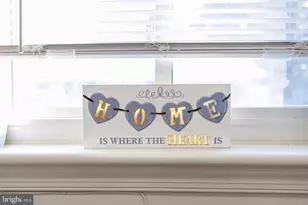 8210 15th Pl, Hyattsville, MD 20783 - Photo 23