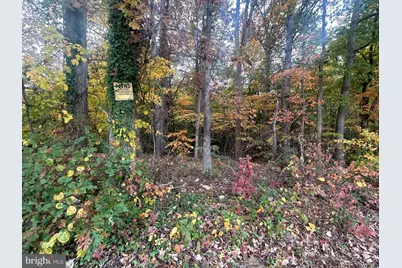 Bock Road, Fort Washington, MD 20744 - Photo 5