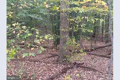 Bock Road, Fort Washington, MD 20744 - Photo 13