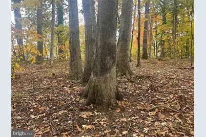 Bock Road, Fort Washington, MD 20744 - Photo 9