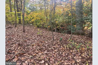 Bock Road, Fort Washington, MD 20744 - Photo 5