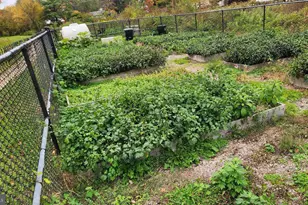 8501 Sprague, New Carrollton, MD 20784 - Photo 45