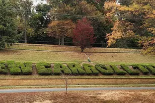 8501 Sprague, New Carrollton, MD 20784 - Photo 57