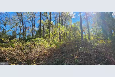 Old Palmer Road, Fort Washington, MD 20744 - Photo 5