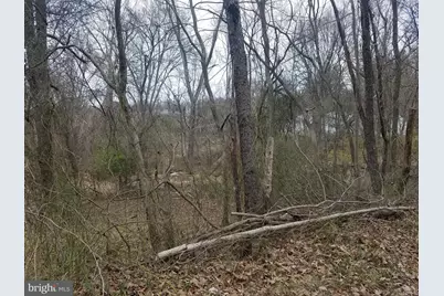 Old Palmer Road, Fort Washington, MD 20744 - Photo 11
