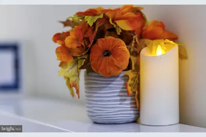 3609 Hamilton Street, Hyattsville, MD 20782 - Photo 27