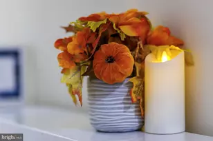 3609 Hamilton St, Hyattsville, MD 20782 - Photo 27