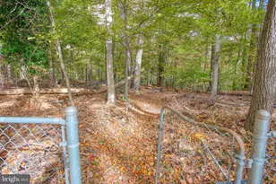 12610 Brunswick Ln, Bowie, MD 20715 - Photo 33