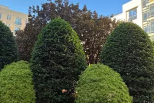 155 Potomac Passage, Oxon Hill, MD 20745 - Photo 29