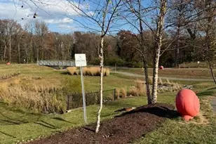 4638 Woodberry St, Riverdale, MD 20737 - Photo 69