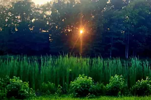 15517 Glastonbury Way, Upper Marlboro, MD 20774 - Photo 95