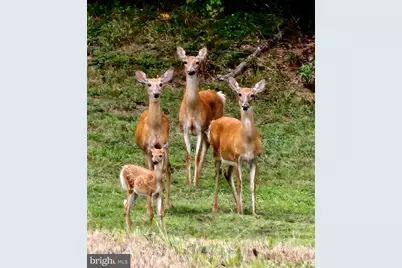 15517 Glastonbury Way, Upper Marlboro, MD 20774 - Photo 97