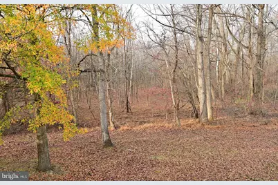 12003 Elmwood Drive, Brandywine, MD 20613 - Photo 69