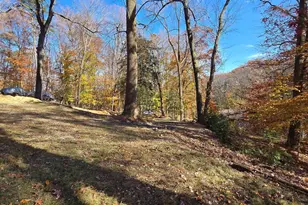 7613 Locust Ln, Fort Washington, MD 20744 - Photo 11