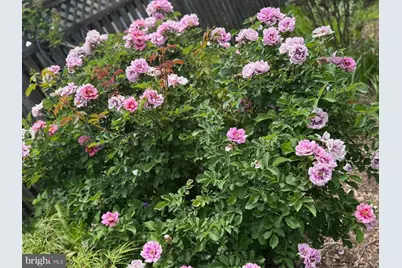 13205 Iris Court, Bowie, MD 20715 - Photo 89