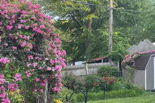 13205 Iris Ct, Bowie, MD 20715 - Photo 85