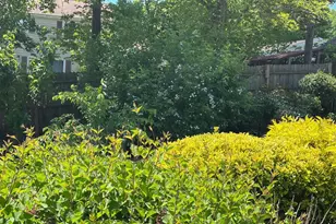 13205 Iris Ct, Bowie, MD 20715 - Photo 51