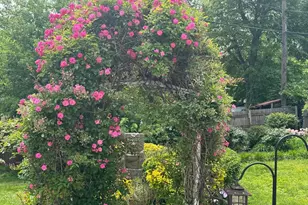 13205 Iris Ct, Bowie, MD 20715 - Photo 101