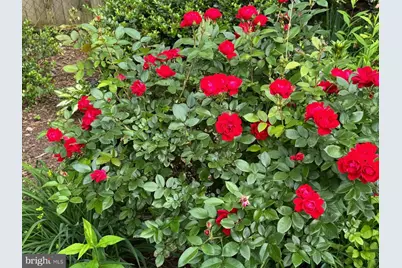 13205 Iris Court, Bowie, MD 20715 - Photo 91