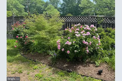 13205 Iris Court, Bowie, MD 20715 - Photo 103