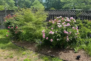 13205 Iris Ct, Bowie, MD 20715 - Photo 103