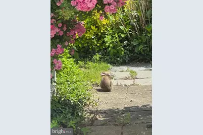 13205 Iris Court, Bowie, MD 20715 - Photo 93