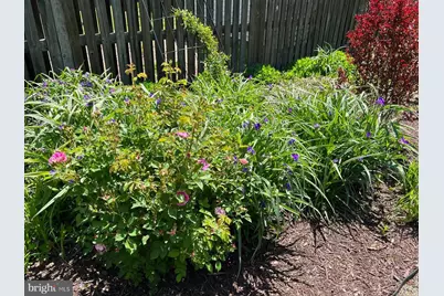 13205 Iris Court, Bowie, MD 20715 - Photo 55