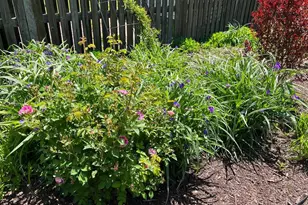 13205 Iris Ct, Bowie, MD 20715 - Photo 55