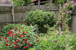 13205 Iris Ct, Bowie, MD 20715 - Photo 61