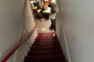 1115 Quebec St, Silver Spring, MD 20903 - Photo 13