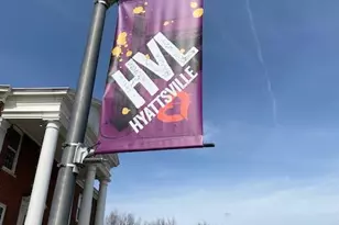 4334 Farragut St, Hyattsville, MD 20781 - Photo 3