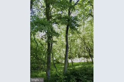 16301 Saint Thomas Church Road, Upper Marlboro, MD 20772 - Photo 1