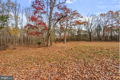12101 Cherry Tree Crossing Road, Brandywine, MD 20613 - Photo 25