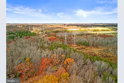 12101 Cherry Tree Crossing Road, Brandywine, MD 20613 - Photo 39