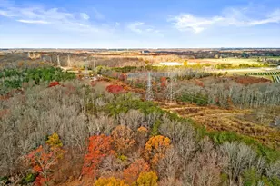 12101 Cherry Tree Crossing Rd, Brandywine, MD 20613 - Photo 39