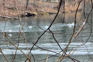 8941 Town Center Cir, Upper Marlboro, MD 20774 - Photo 35