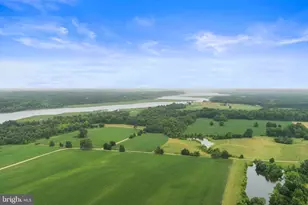 9905 Croom Rd, Upper Marlboro, MD 20772 - Photo 143