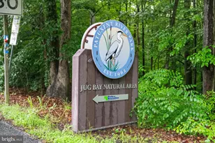 9905 Croom Rd, Upper Marlboro, MD 20772 - Photo 141