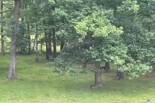 11929 Autumnwood Ln, Fort Washington, MD 20744 - Photo 5