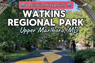 2612 Phelps Ave, District Heights, MD 20747 - Photo 11