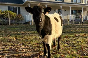 5918 Old Croom Station Rd, Upper Marlboro, MD 20772 - Photo 1