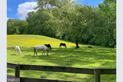 1852 Village Green Drive #E-122, Landover, MD 20785 - Photo 23