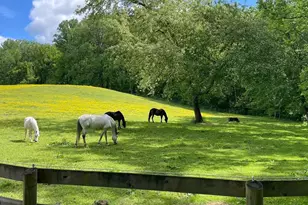 1852 Village Green Dr, Landover, MD 20785 - Photo 23