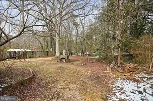 6708 3rd St, Riverdale, MD 20737 - Photo 17